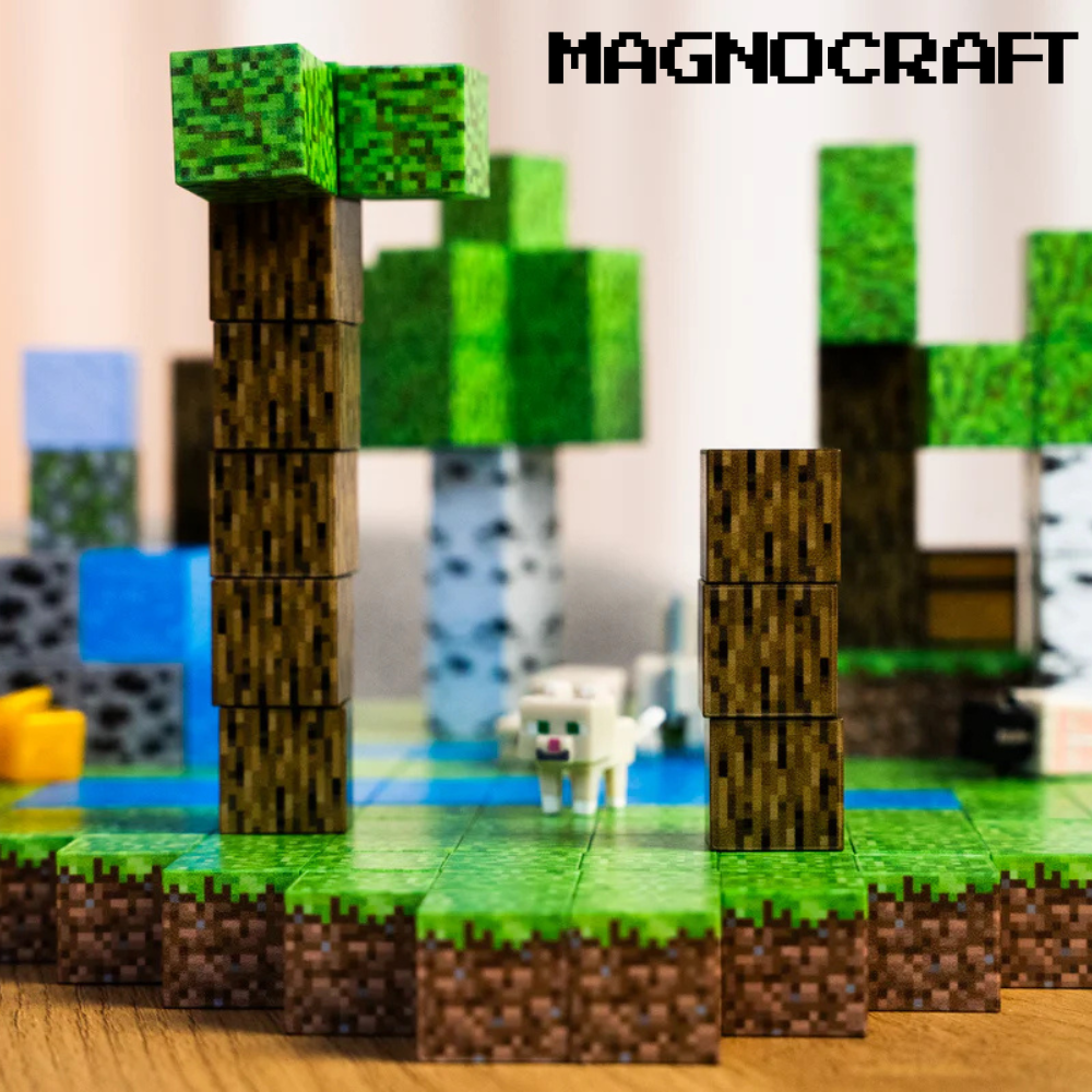 MagnoCraft – cuburile magnetice educative