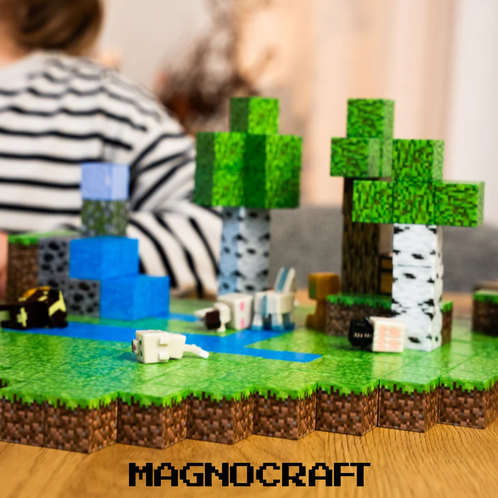 MagnoCraft – cuburile magnetice educative