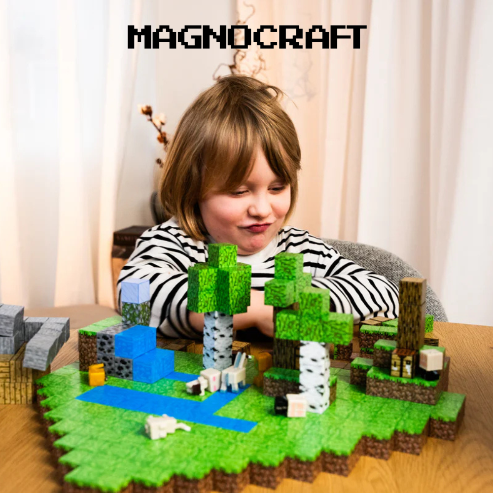 MagnoCraft – cuburile magnetice educative